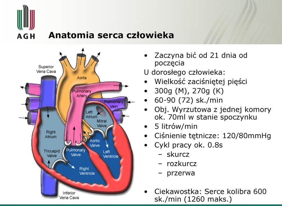 Wyrzutowa z jednej komory ok.