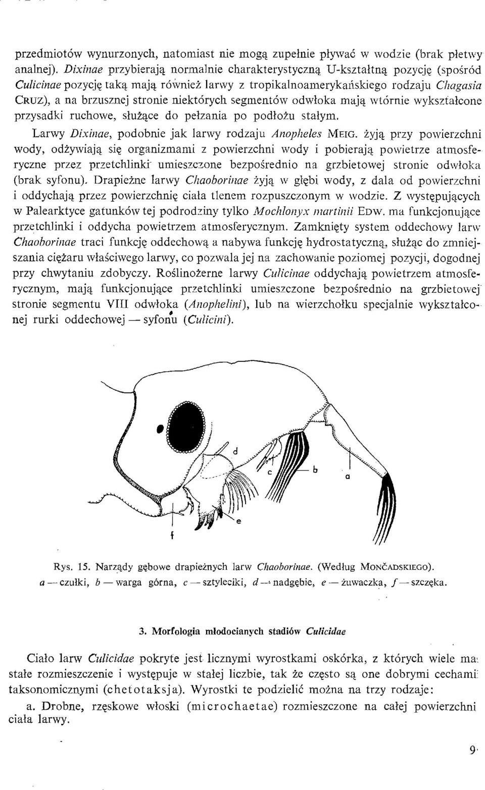 niektorych segment&v odwloka majq. wtornie wyksztalcone przysadki ruchowe, sluiace do pelzania po podloiu stalym. Larwy Dixirlae, podobnie jak larwy rodzaju Anopheks MEIG.