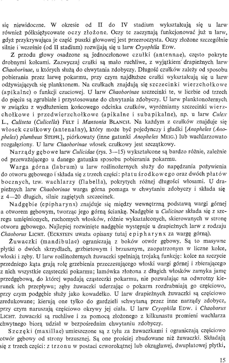 Z przodu glowy osadzone sa, jednoczlonowe czulki (antennae), czesto pokryte drobnymi kolcami.