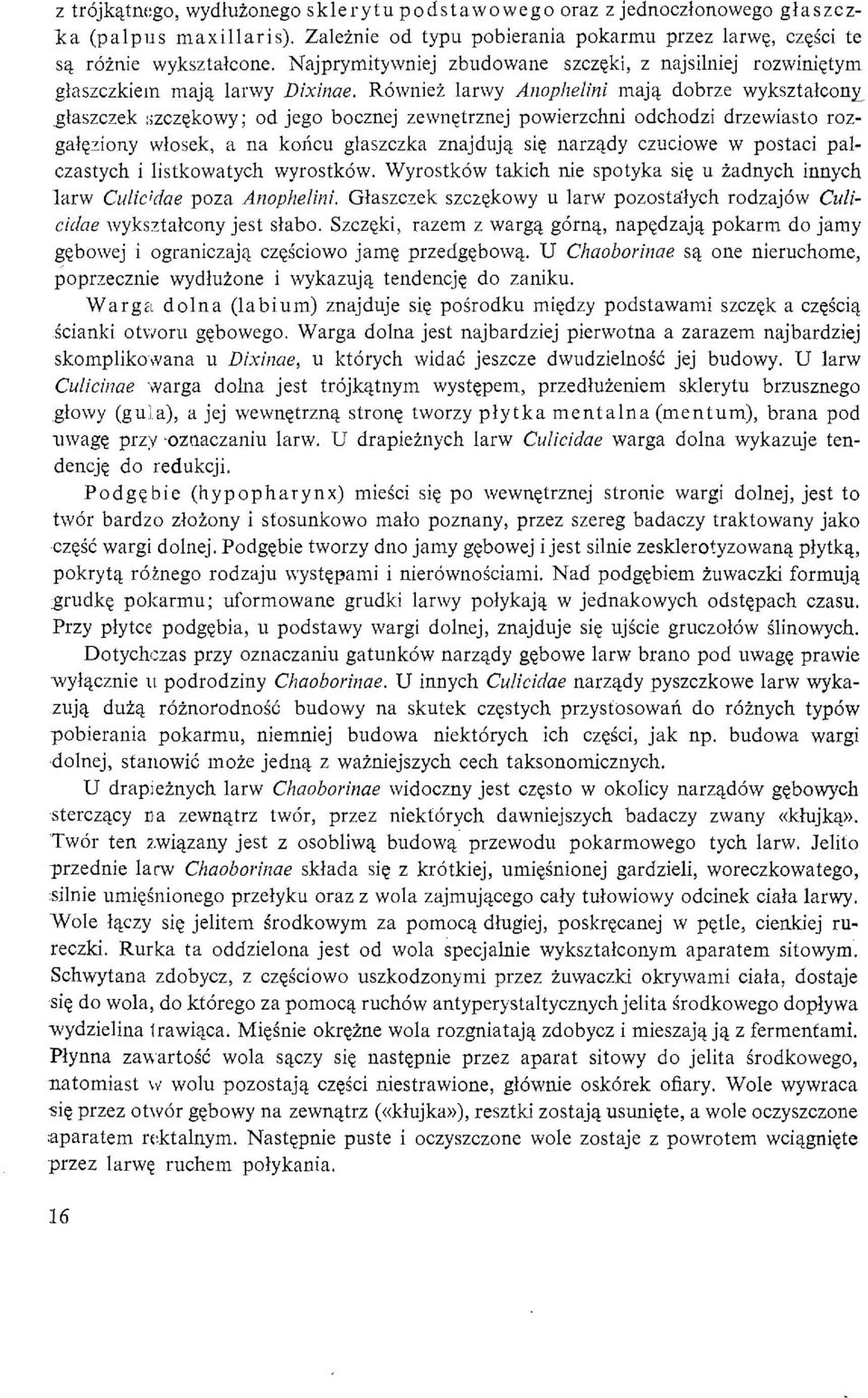 Rowniei larwy Anophelini maja dobrze wyksztalcony glaszczek szczekowy ; od jego bocznej zewnetrznej powierzchni odchodzi drzewiasto roz- galeziony wlosek, a na koricu glaszczka znajduja sic narzady