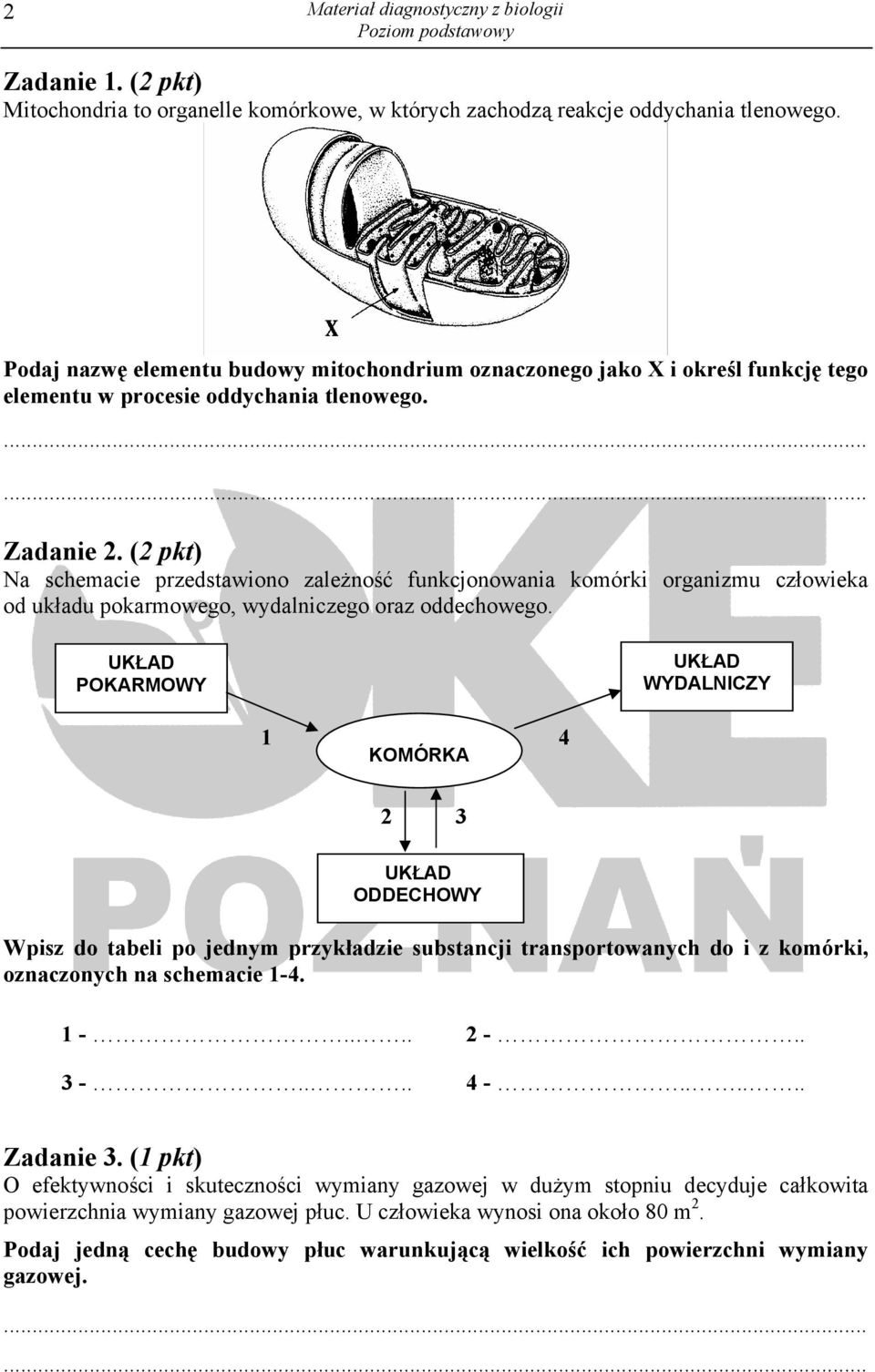 (2 pkt) Na schemacie przedstawiono zależność funkcjonowania komórki organizmu człowieka od układu pokarmowego, wydalniczego oraz oddechowego.