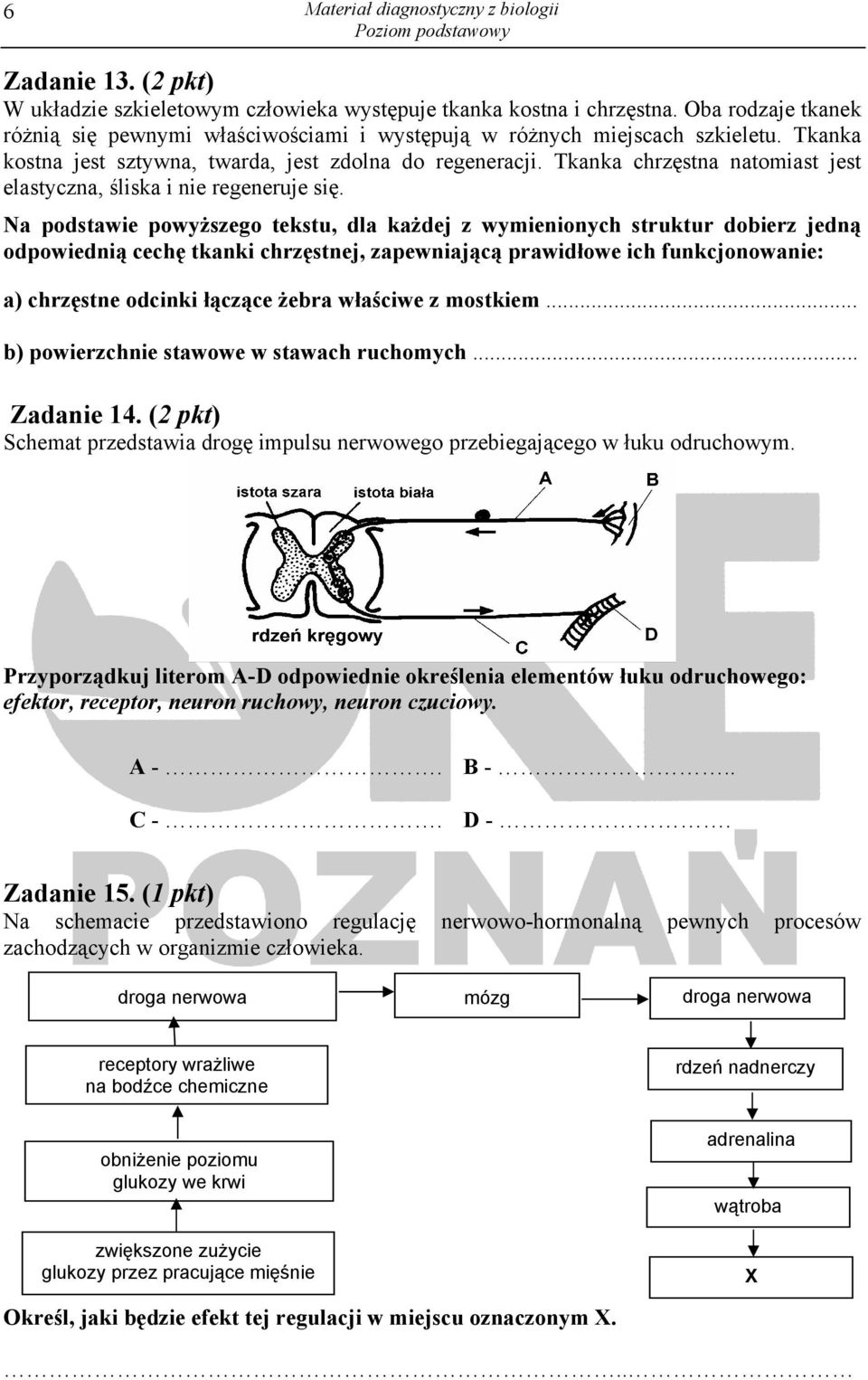 Tkanka chrzęstna natomiast jest elastyczna, śliska i nie regeneruje się.