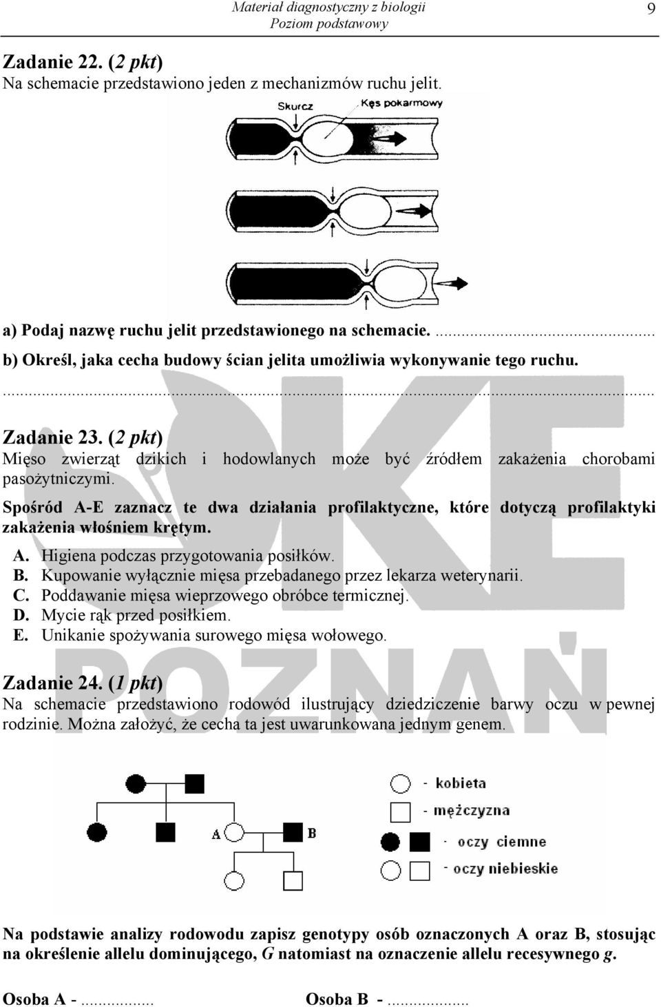 Spośród A-E zaznacz te dwa działania profilaktyczne, które dotyczą profilaktyki zakażenia włośniem krętym. A. Higiena podczas przygotowania posiłków. B.