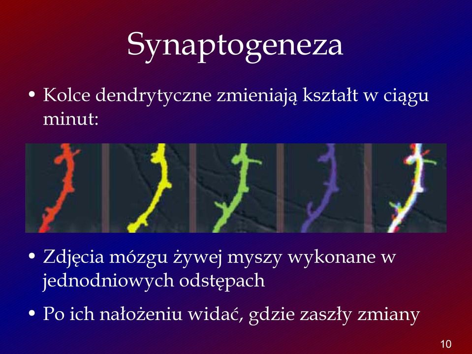 myszy wykonane w jednodniowych odstępach Po