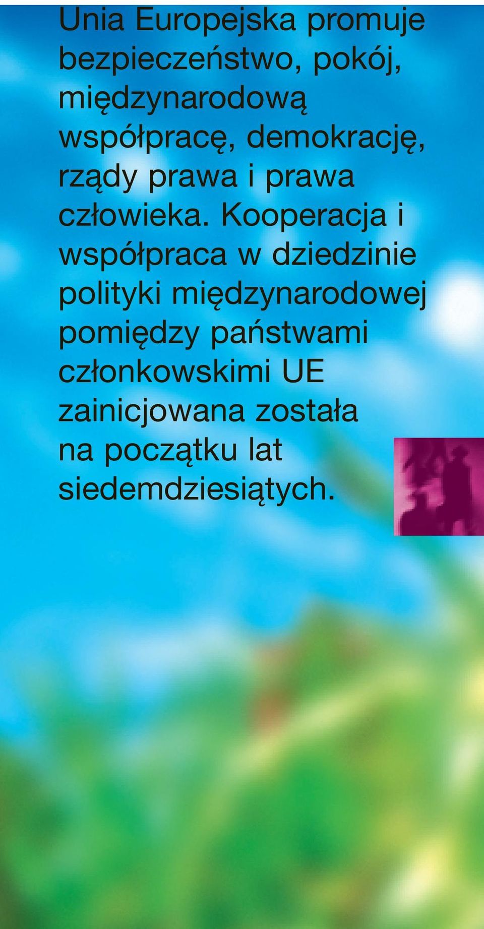 Kooperacja i współpraca w dziedzinie polityki międzynarodowej
