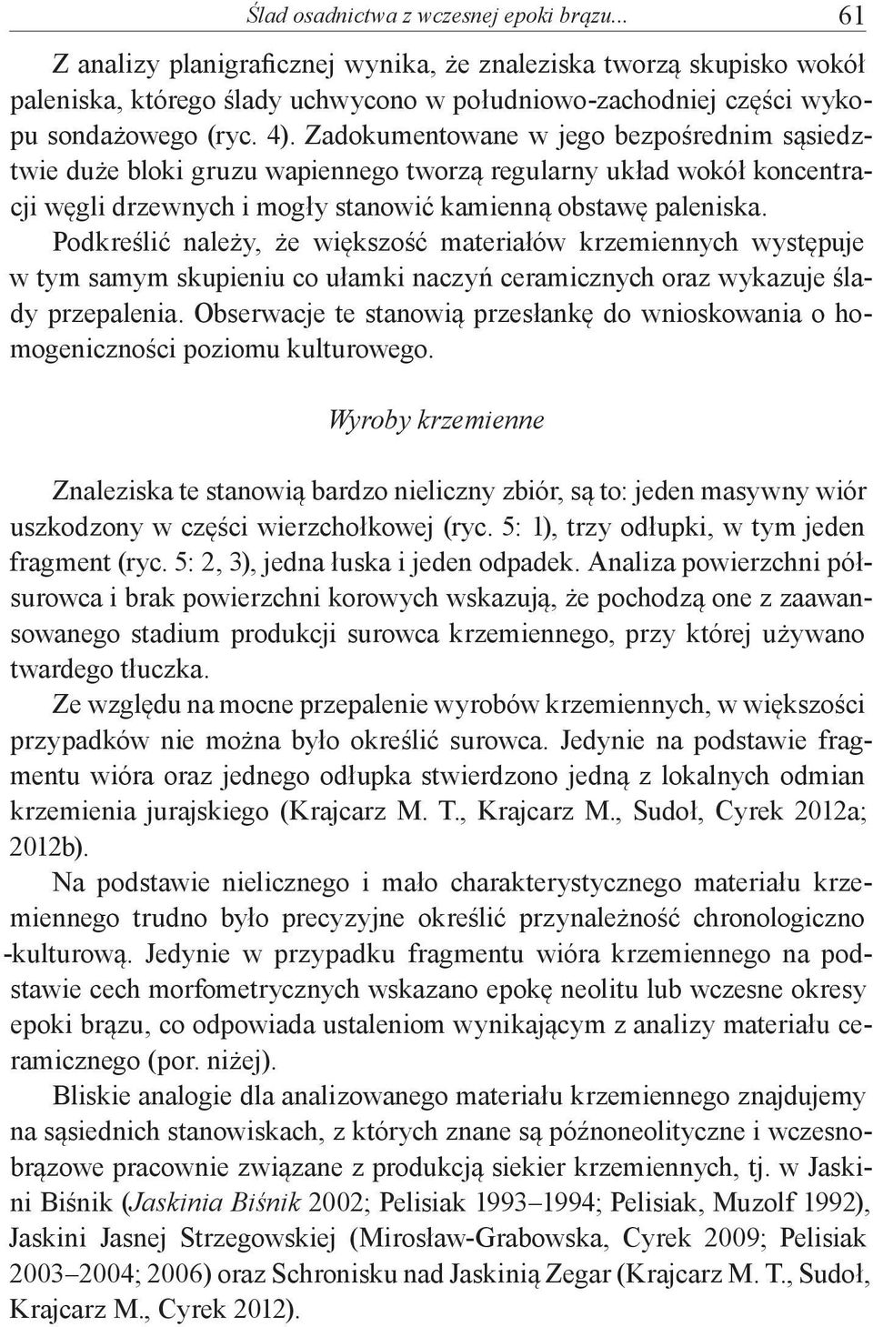 Zadokumentowane w jego bezpośrednim sąsiedztwie duże bloki gruzu wapiennego tworzą regularny układ wokół koncentracji węgli drzewnych i mogły stanowić kamienną obstawę paleniska.