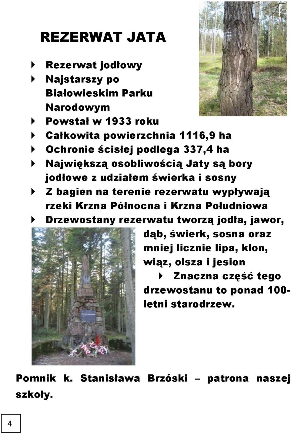 wypływają rzeki Krzna Północna i Krzna Południowa Drzewostany rezerwatu tworzą jodła, jawor, dąb, świerk, sosna oraz mniej licznie