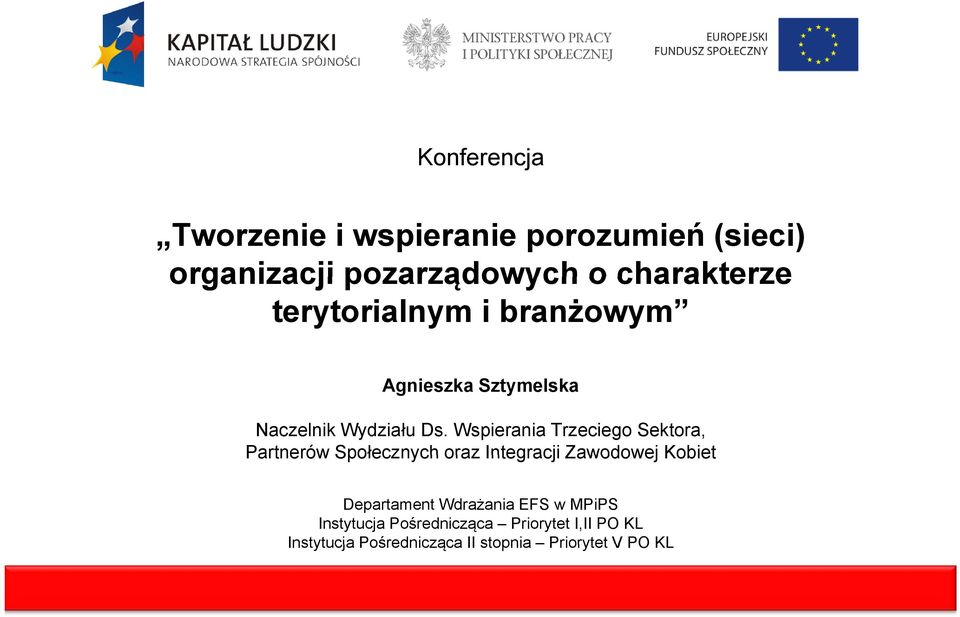 Wspierania Trzeciego Sektora, Partnerów Społecznych oraz Integracji Zawodowej Kobiet