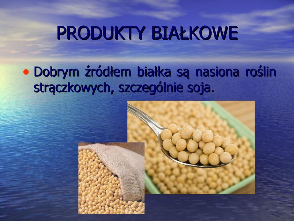 są nasiona roślin