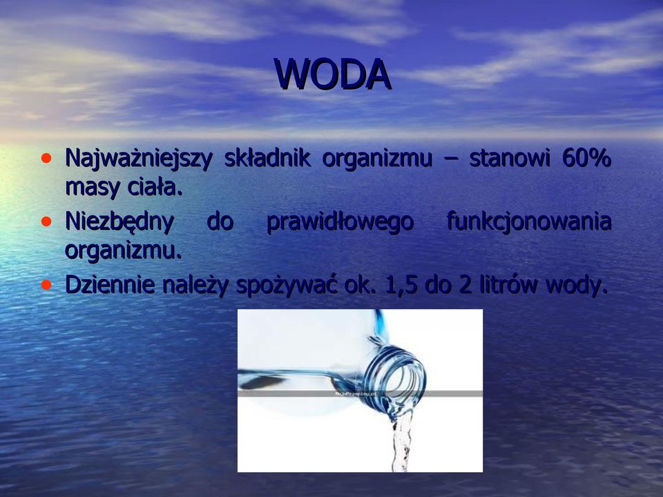 Niezbędny do prawidłowego funkcjonowania