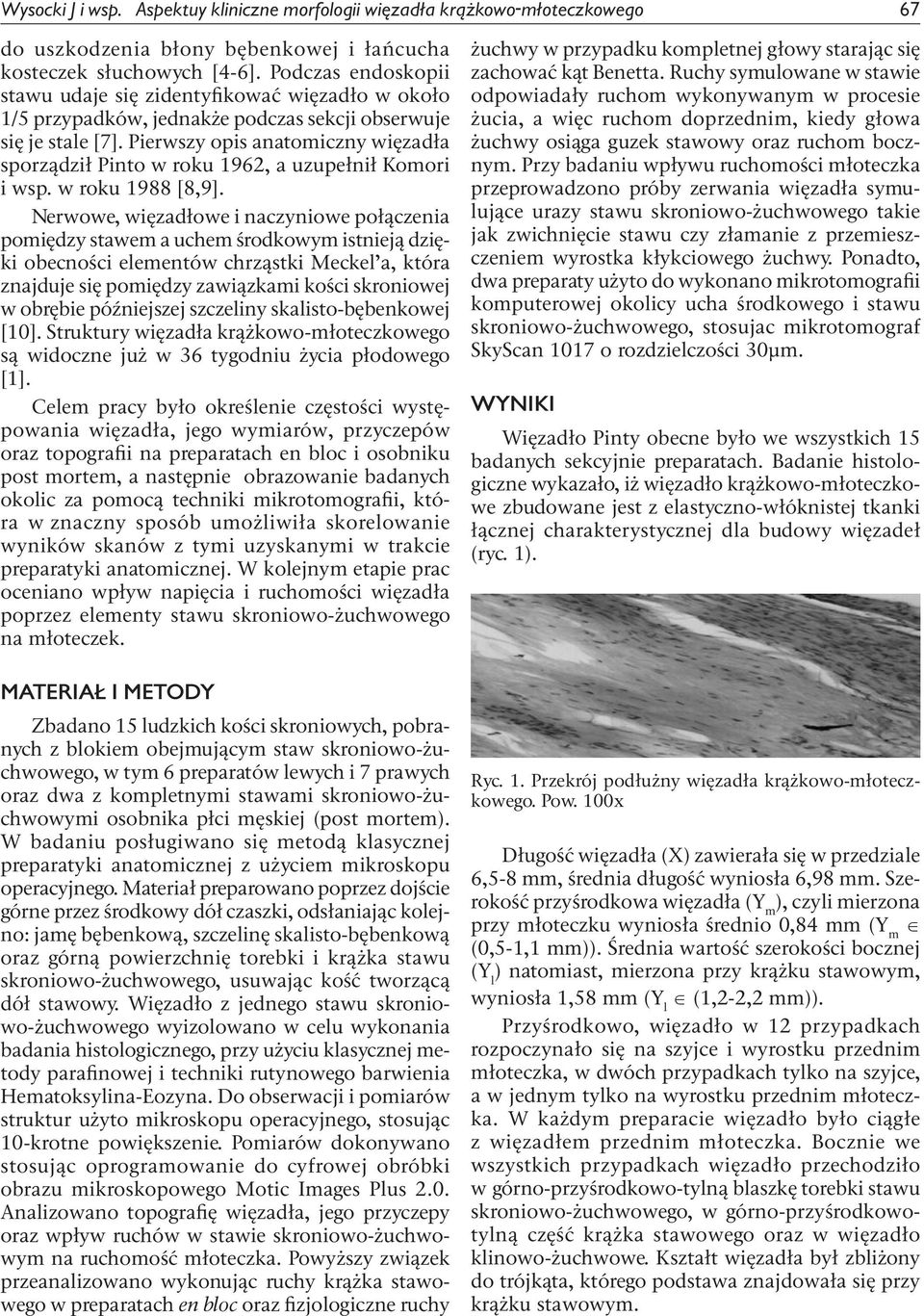 Pierwszy opis anatomiczny więzadła sporządził Pinto w roku 1962, a uzupełnił Komori i wsp. w roku 1988 [8,9].