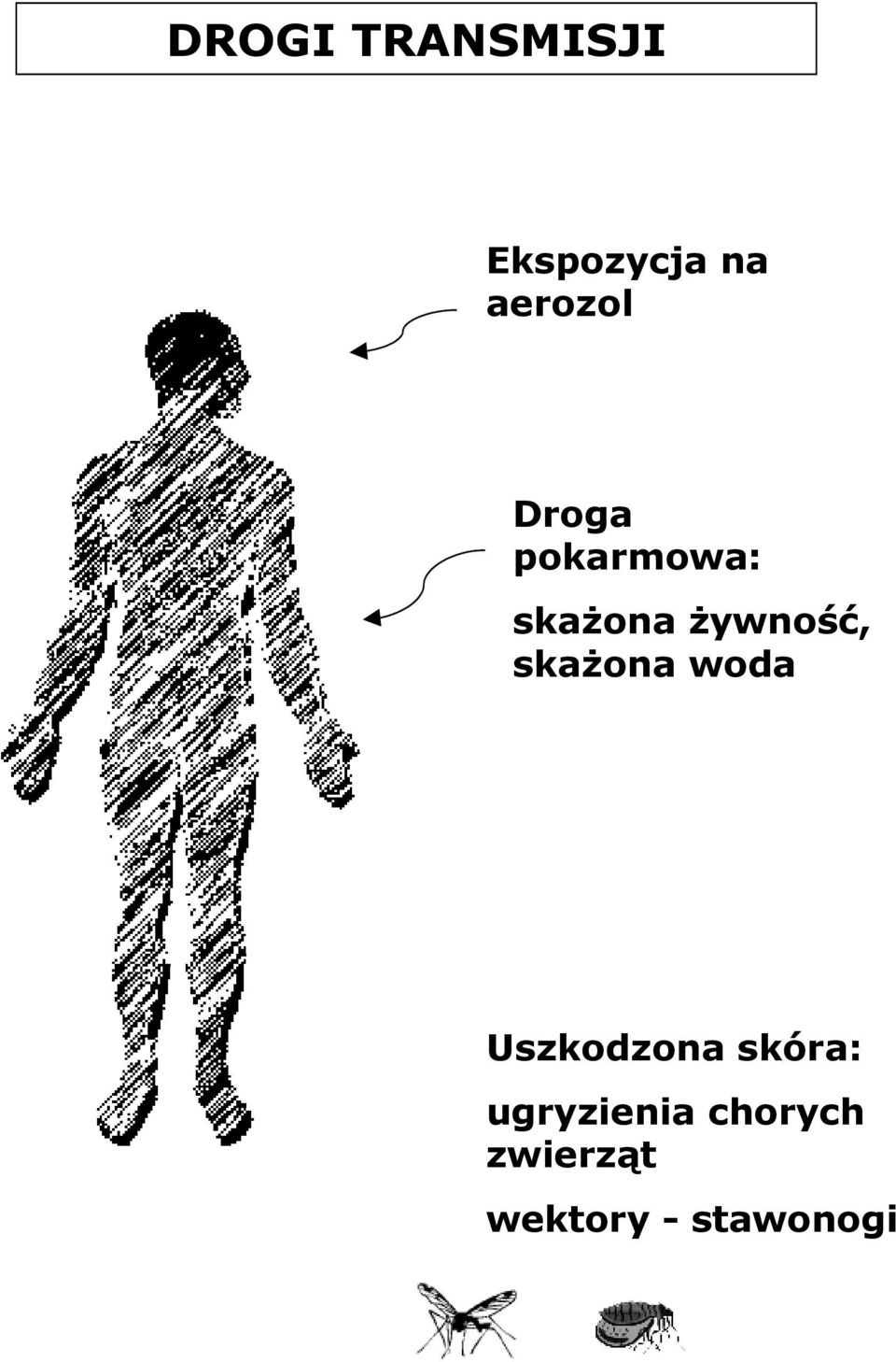 żywność, skażona woda Uszkodzona