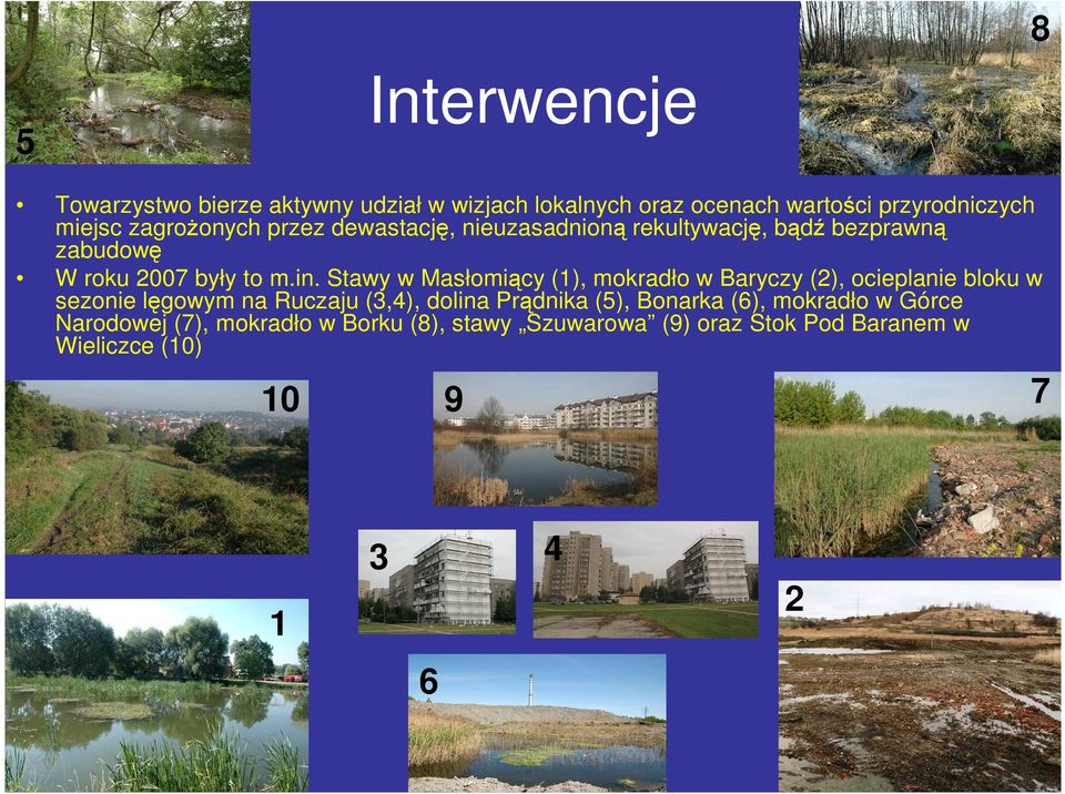 Stawy w Masłomiący (1), mokradło w Baryczy (2), ocieplanie bloku w sezonie lęgowym na Ruczaju (3,4), dolina Prądnika (5),
