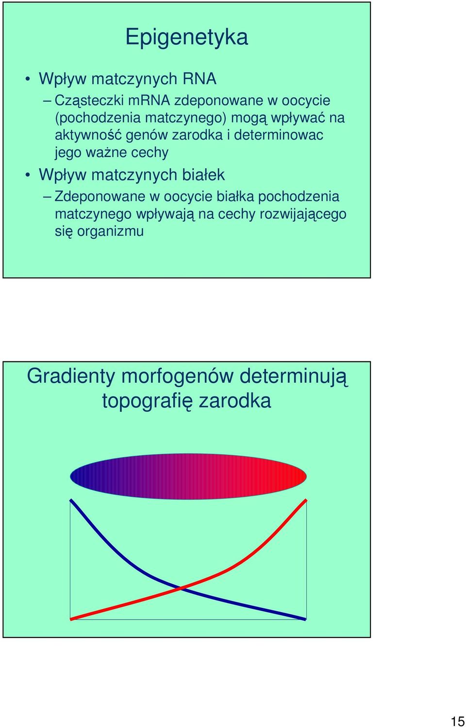 Wpływ matczynych białek Zdeponowane w oocycie białka pochodzenia matczynego wpływają