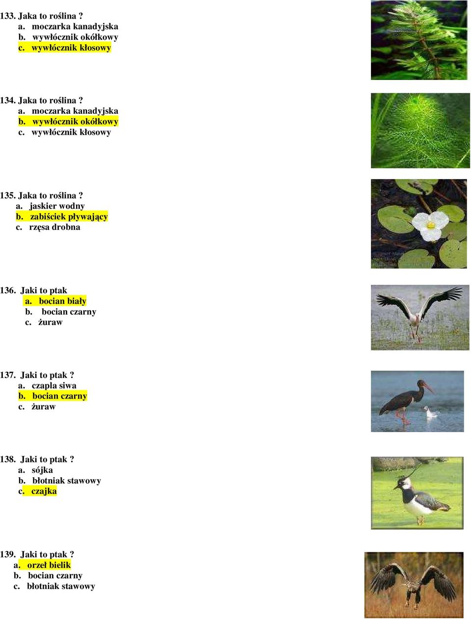 Ŝuraw 137. Jaki to ptak? a. czapla siwa b. bocian czarny c. Ŝuraw 138. Jaki to ptak? a. sójka b. błotniak stawowy c.