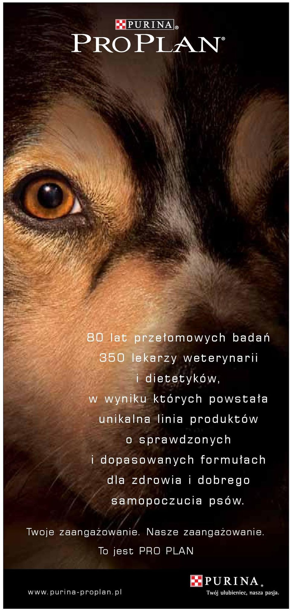 dopasowanych formułach dla zdrowia i dobrego samopoczucia psów.