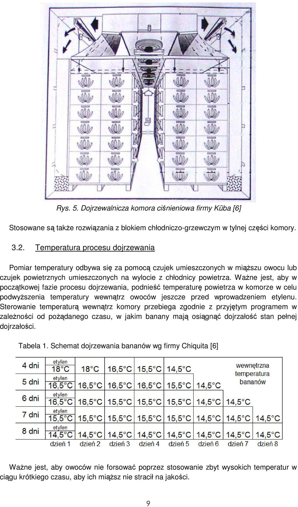 WaŜne jest, aby w początkowej fazie procesu dojrzewania, podnieść temperaturę powietrza w komorze w celu podwyŝszenia temperatury wewnątrz owoców jeszcze przed wprowadzeniem etylenu.