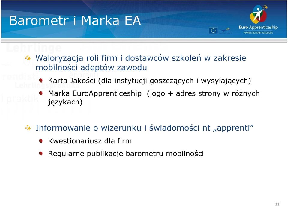 EuroApprenticeship (logo + adres strony w róŝnych językach) Informowanie o wizerunku