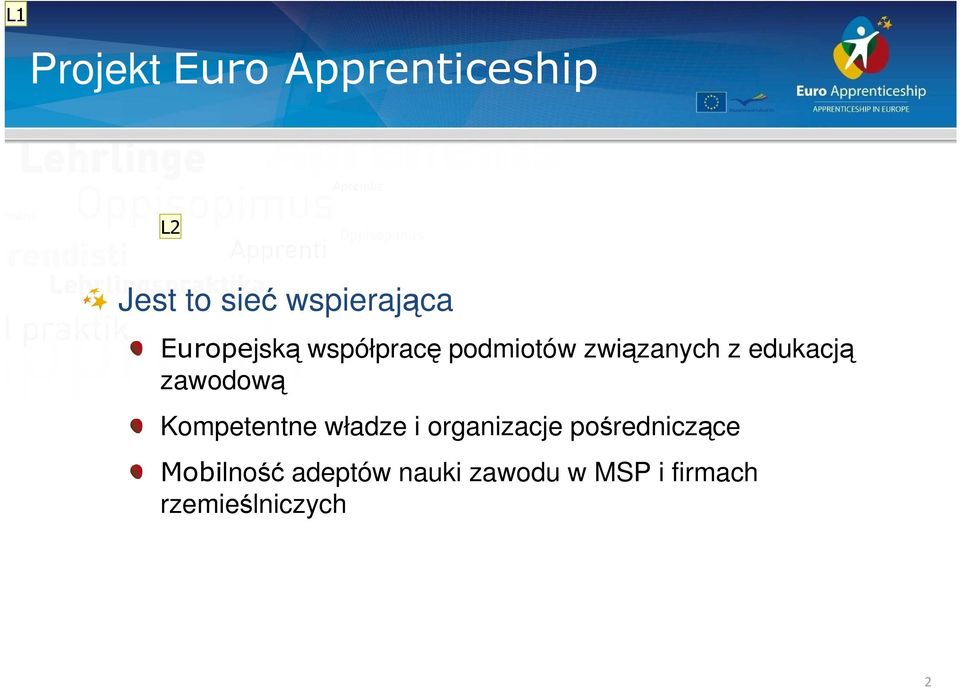 zawodową Kompetentne władze i organizacje pośredniczące