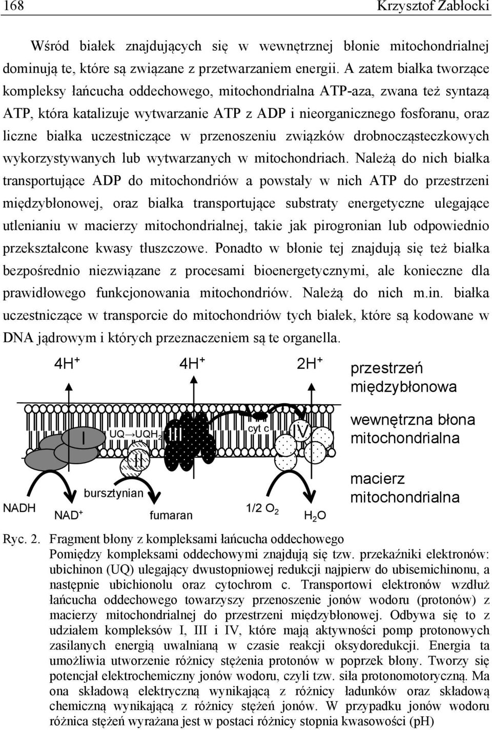 uczestniczące w przenoszeniu związków drobnocząsteczkowych wykorzystywanych lub wytwarzanych w mitochondriach.