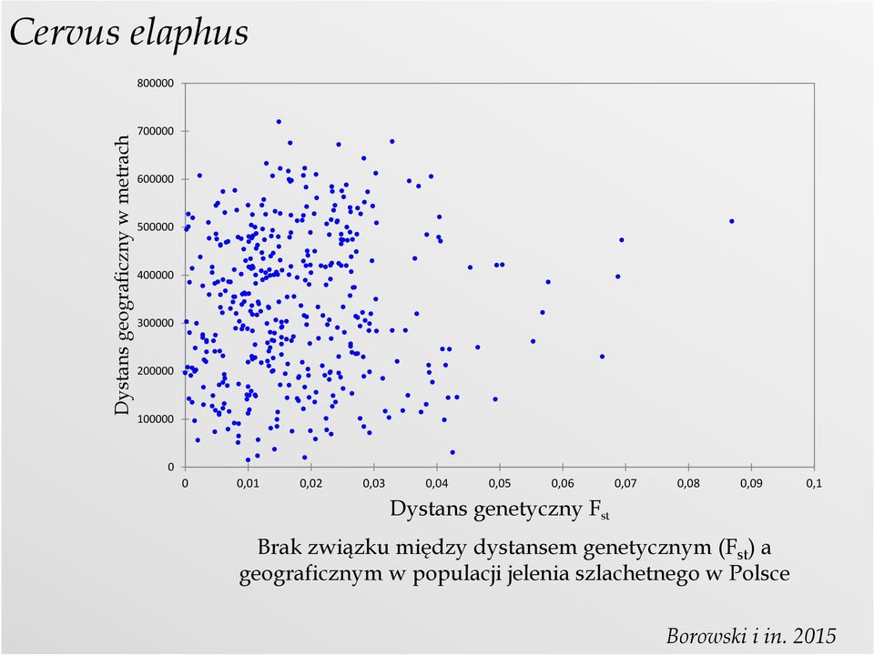 0,1 Dystans genetyczny F st Brak związku między dystansem genetycznym (F st