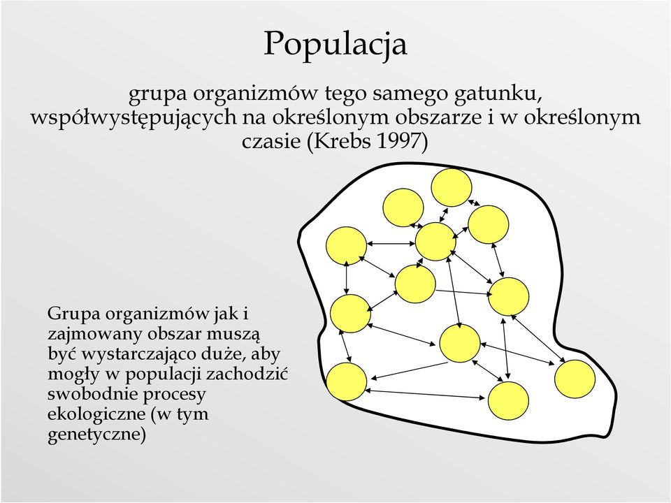 organizmów jak i zajmowany obszar muszą być wystarczająco duŝe, aby