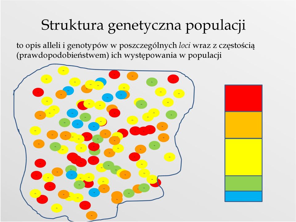 poszczególnych loci wraz z