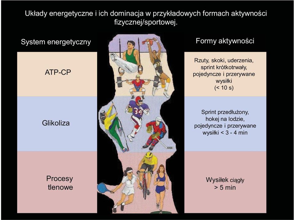 System energetyczny Formy aktywności ATP-CP Rzuty, skoki, uderzenia, sprint krótkotrwały,