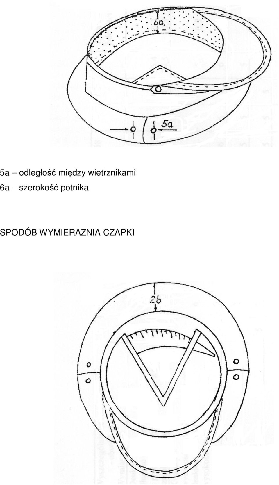 szerokość potnika