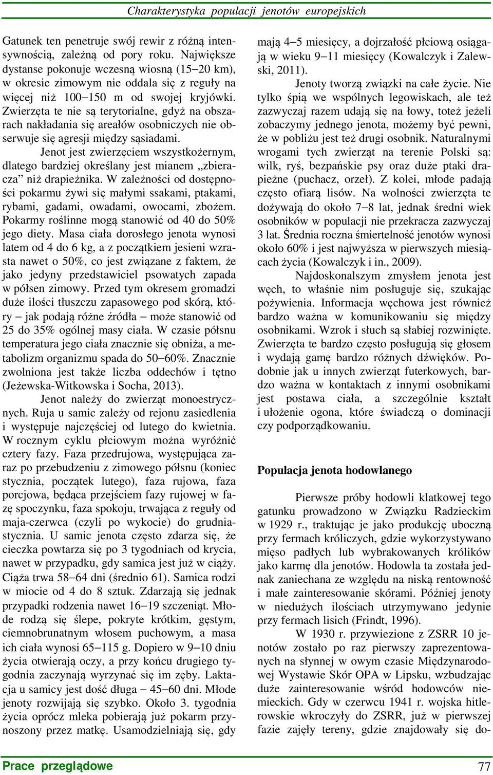 Zwierzęta te nie są terytorialne, gdyż na obszarach nakładania się areałów osobniczych nie obserwuje się agresji między sąsiadami.