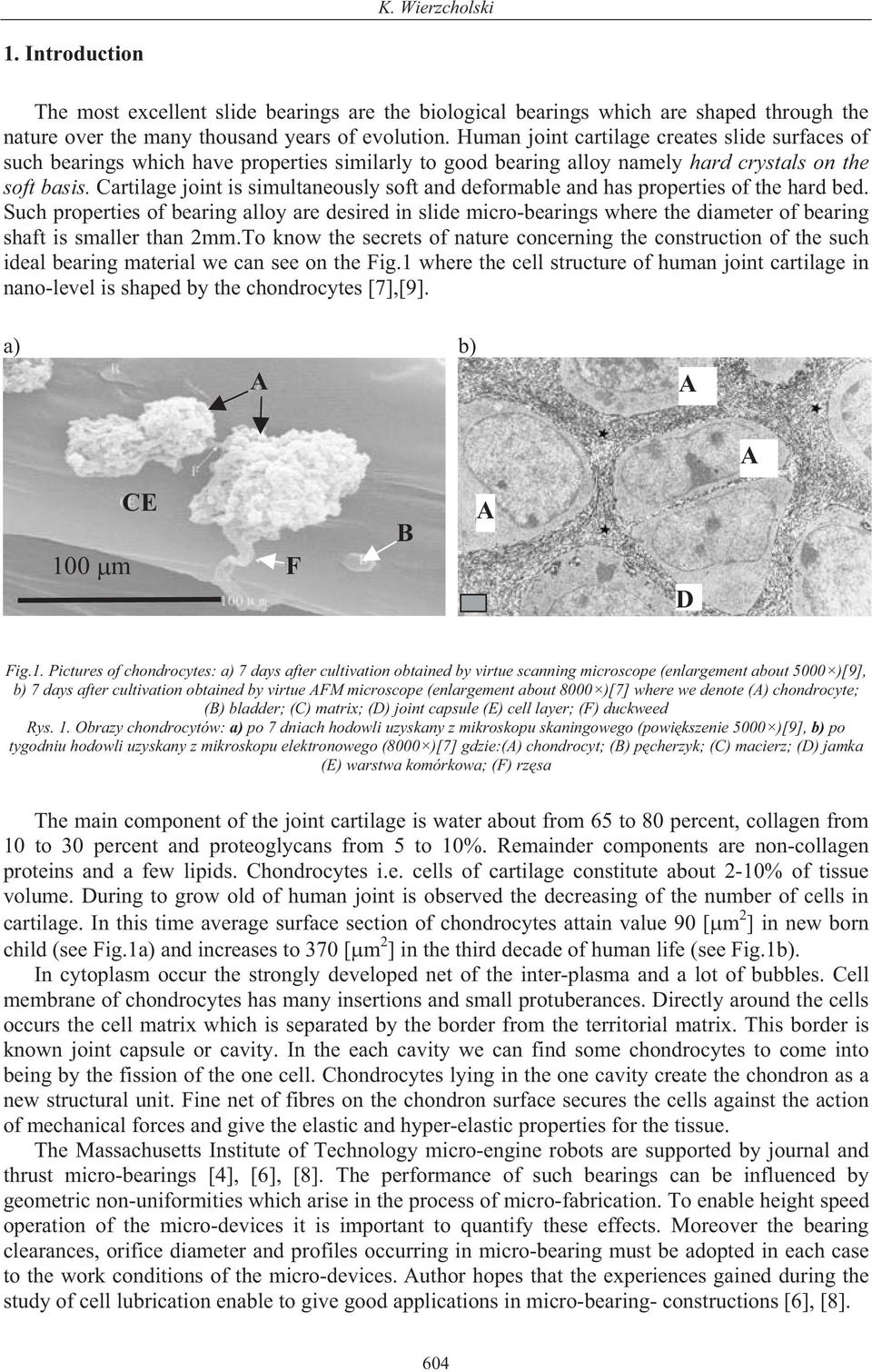 Cartilage joint is simultaneously soft and deformable and has properties of the hard bed.