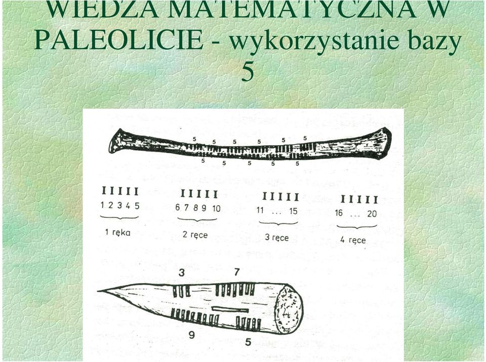 W PALEOLICIE