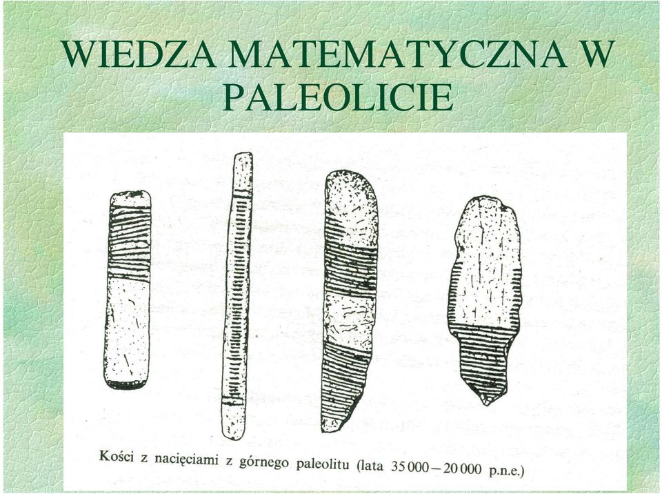 PALEOLICIE Kość z