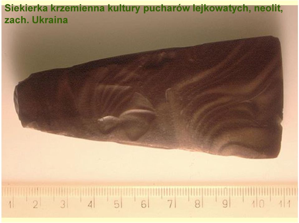 kultury pucharów