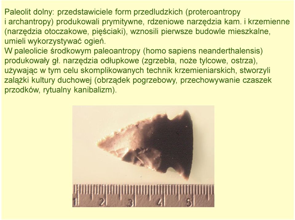 W paleolicie środkowym paleoantropy (homo sapiens neanderthalensis) produkowały gł.
