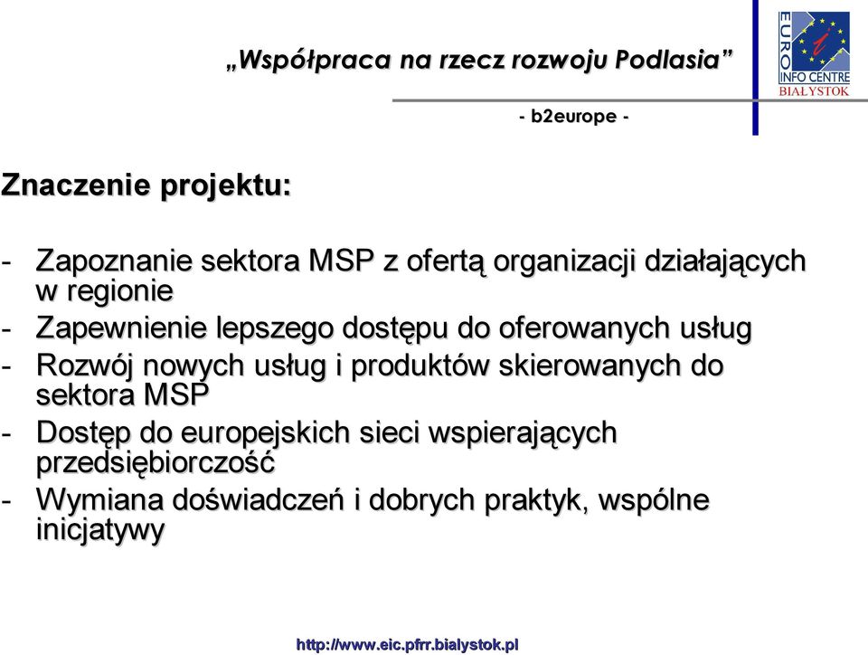 Rozwój nowych usług i produktów skierowanych do sektora MSP - Dostęp do europejskich sieci