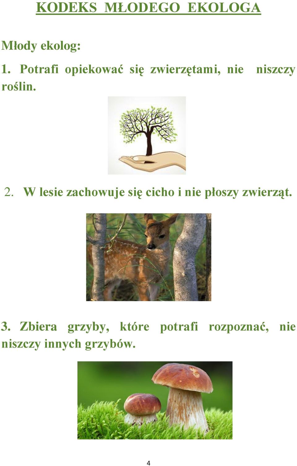 2. W lesie zachowuje się cicho i nie płoszy zwierząt. 3.