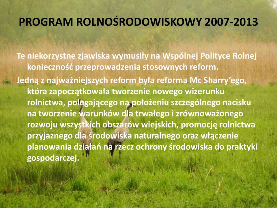 polegającego na położeniu szczególnego nacisku na tworzenie warunków dla trwałego i zrównoważonego rozwoju wszystkich obszarów