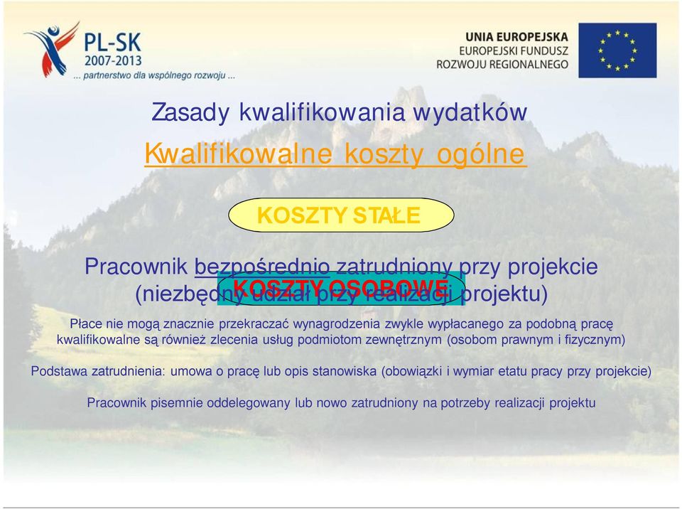 również zlecenia usług podmiotom zewnętrznym (osobom prawnym i fizycznym) Podstawa zatrudnienia: umowa o pracę lub opis