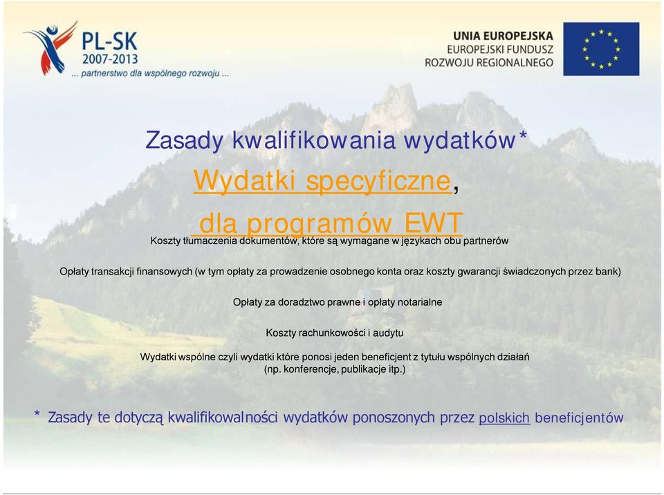 doradztwo prawne i opłaty notarialne Koszty rachunkowości i audytu Wydatki wspólne czyli wydatki które ponosi jeden beneficjent z