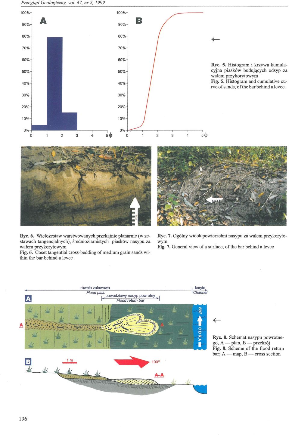 Co set tangential cross-bedding ofmedium grain sands within the bar behind a levee 3 4 5<1> Ryc. 7. Ogólny widok powierzchni nasypu za wałem przykorytowym Fig. 7. General view of a surface, of the bar behind a levee równia zalewowa I~.