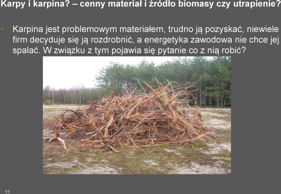 firm decyduje się ją rozdrobnić, a energetyka zawodowa nie chce