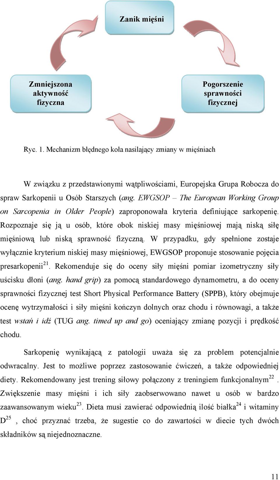 EWGSOP The European Working Group on Sarcopenia in Older People) zaproponowała kryteria definiujące sarkopenię.