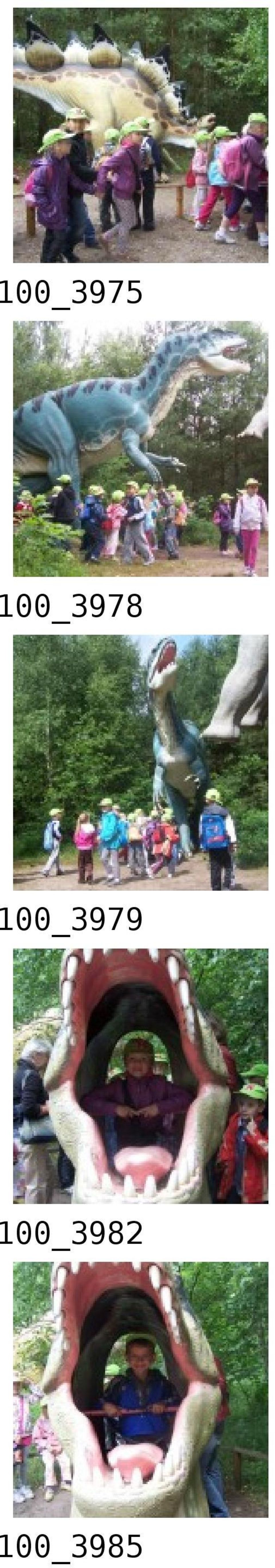 100_3979
