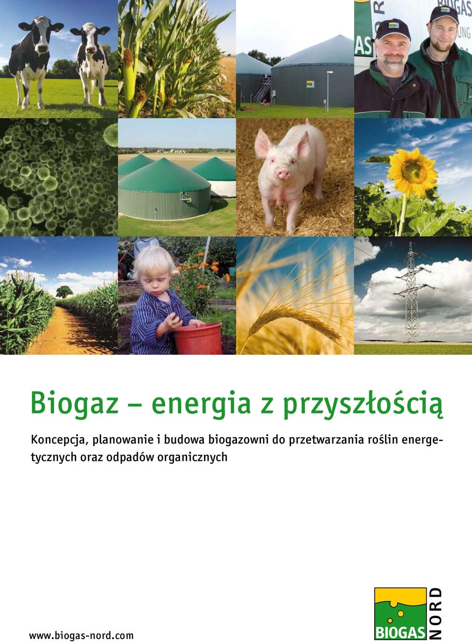 biogazowni do przetwarzania roślin