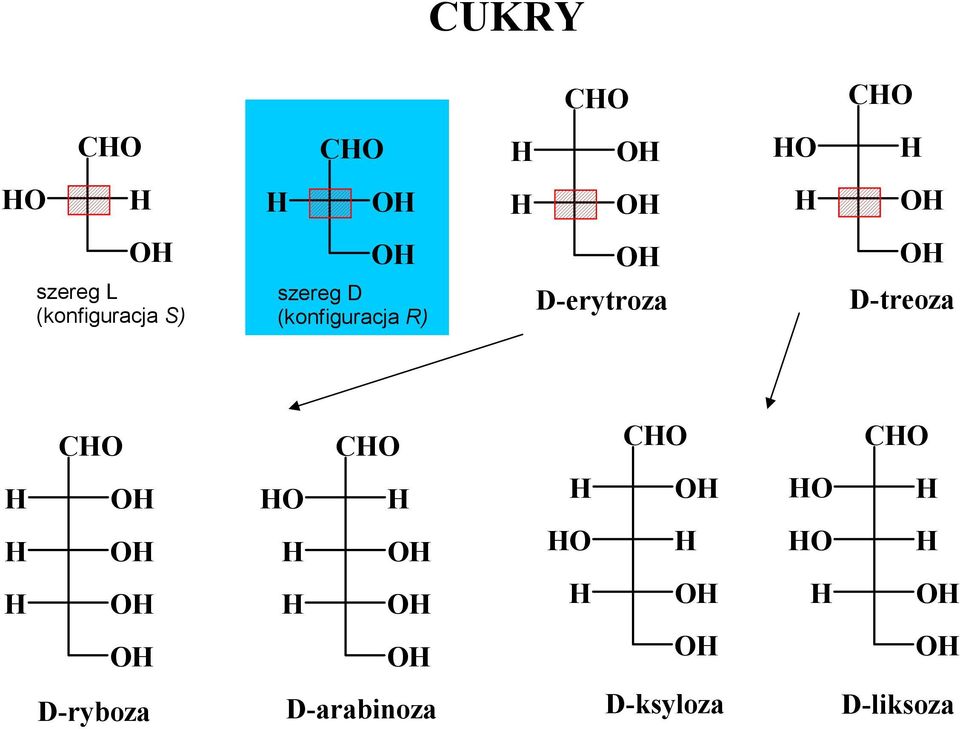 L (konfiguracja S) CUKY C C