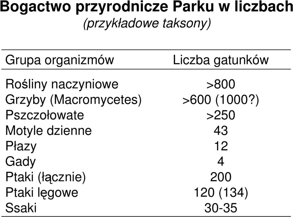 Pszczołowate Motyle dzienne Płazy Gady Ptaki (łącznie) Ptaki