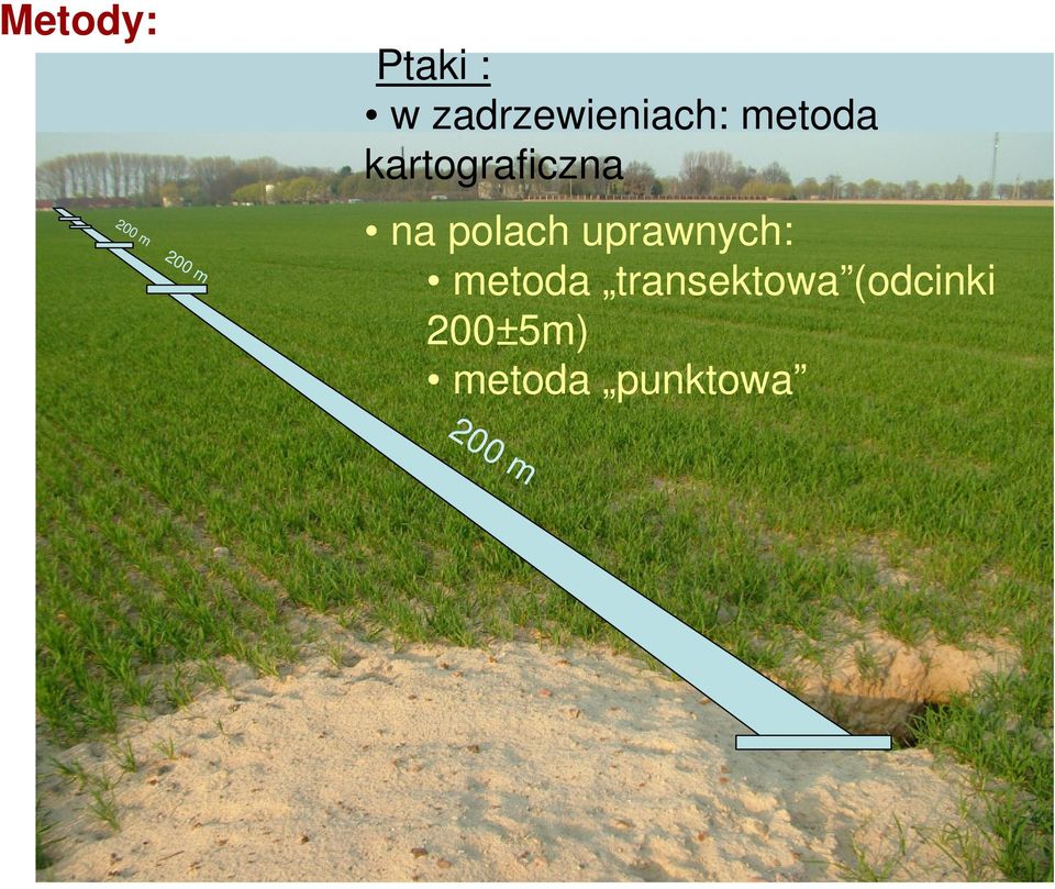 kartograficzna na polach uprawnych: