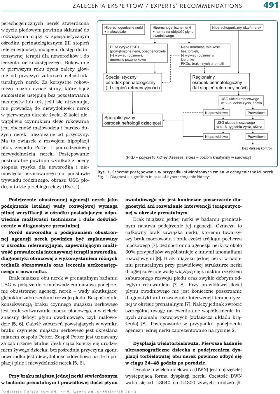 Za korzystne rokowniczo można uznać stany, które bądź samoistnie ustępują bez pozostawiania następstw lub też, jeśli się utrzymują, nie prowadzą do niewydolności nerek w pierwszym okresie życia.