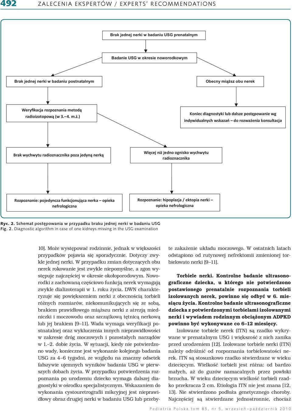 ) Koniec diagnostyki lub dalsze postępowanie wg indywidualnych wskazań do rozważenia konsultacja Brak wychwytu radioznacznika poza jedyną nerką Więcej niż jedno ognisko wychwytu radioznacznika